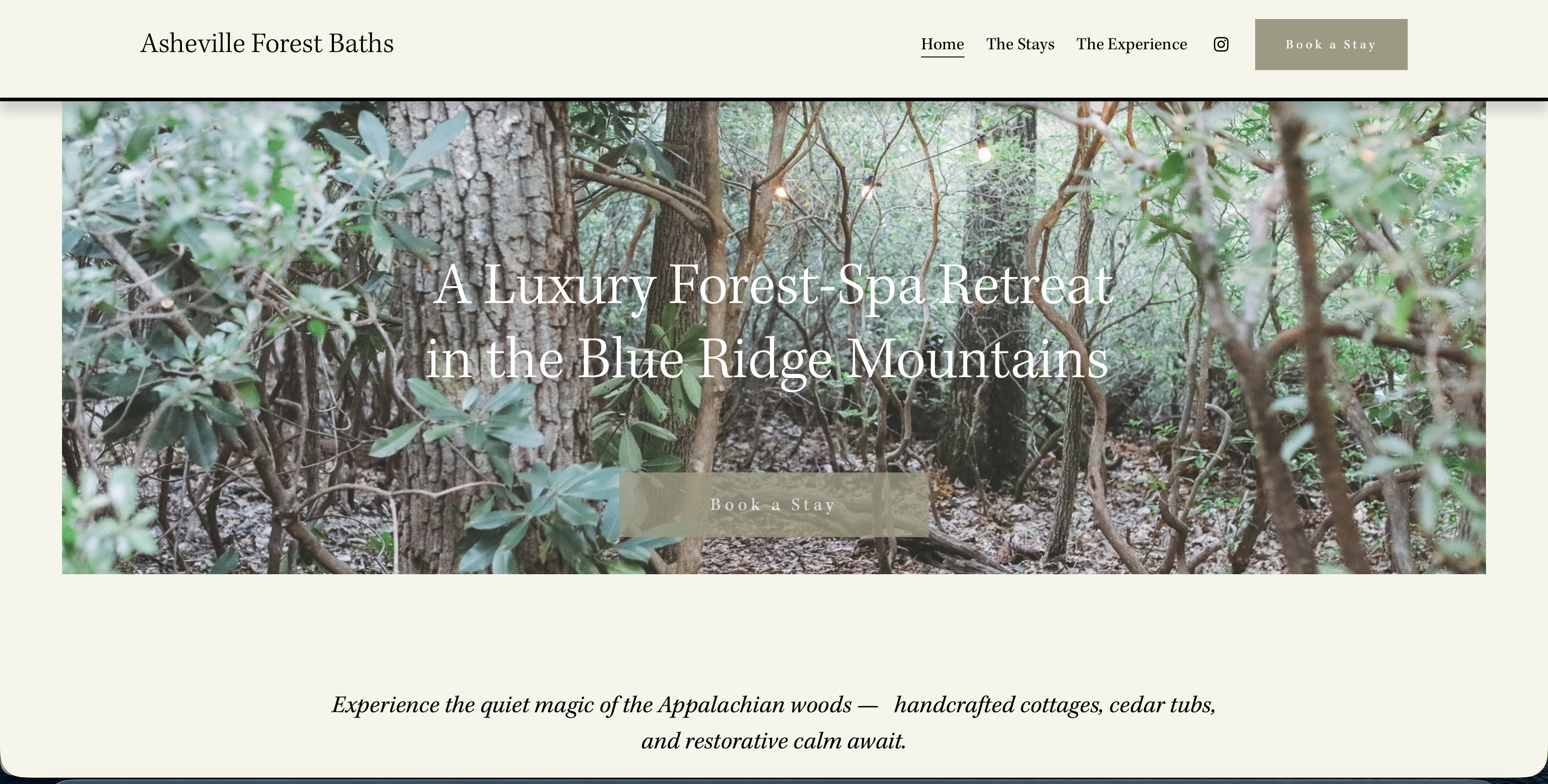 Before: Squarespace template